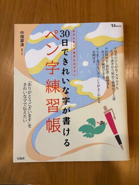 30日できれいな字が書けるペン字練習帳 (TJ MOOK) 中塚翠涛/監修・手本