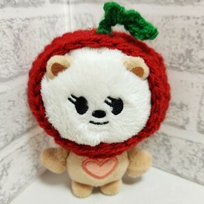 PPULBATU バムグッ 着ぐるみ リンゴ ハンドメイド TXT トゥバ ボムギュ