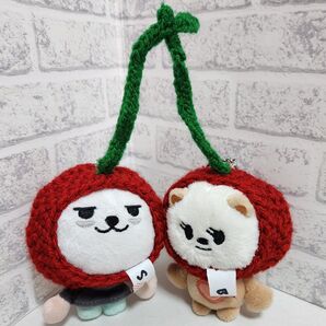 PPULBATU バムグッ ヨンモン 着ぐるみ さくらんぼ ハンドメイド TXT トゥバ ボムギュ スビン