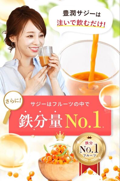 ☆豊潤サジー/美と健康、ダイエット中の方に♪ 1食分