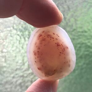 ゴビ石−1379 ゴビ瑪瑙 原石