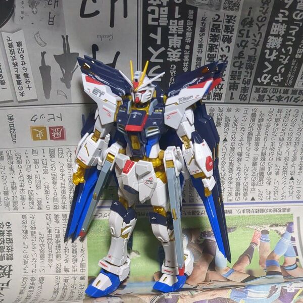 ガンプラRG ストライクフリーダムガンダム