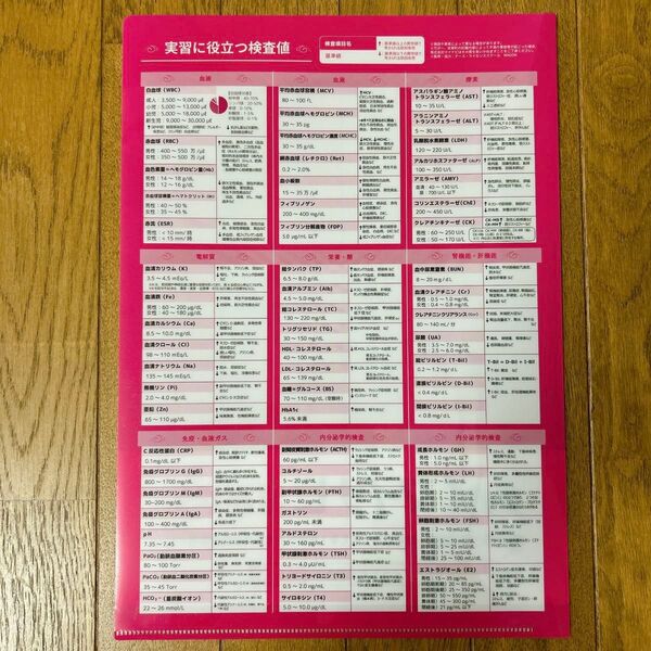 実習に役立つ検査値 クリアファイル A4