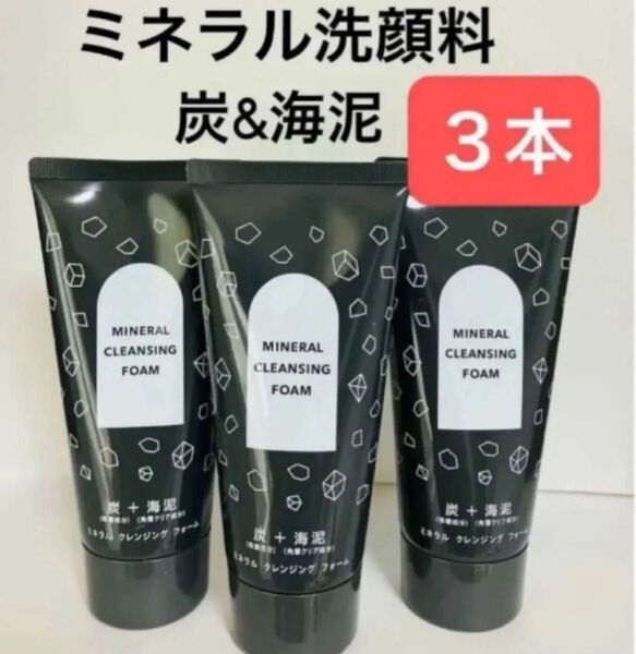 3本 ミネラル クレンジング フォーム くすみ&毛穴ケア スッキリ洗顔 男性にもお勧め 炭&海泥配合 洗顔料 FMG エイボン