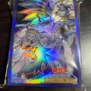 遊戯王OCG デュエルモンスターズ 関連商品