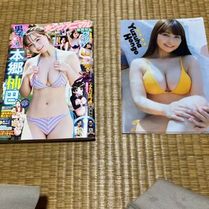 週刊ヤングアニマル2024年14号 本郷柚巴クリアファイル付録付き