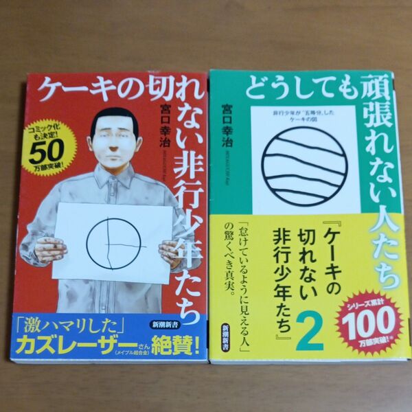 ケーキの切れない非行少年たち (新潮新書 820) 宮口幸治/著 ほか計2冊セット