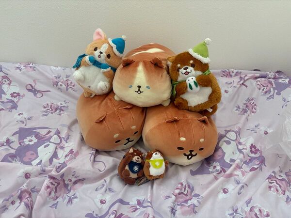 ぬいぐるみ セット いーすとけん しばこっぺ もちしば おかか こむぎ 犬 まとめ売り 忠犬もちしば コゲット コーギー 柴犬