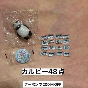 カルビー Calbee キャンペーン 応募券 マーク パンダ エスターバニー ガチャ ディズニー フィギュア 缶バッジ 懸賞
