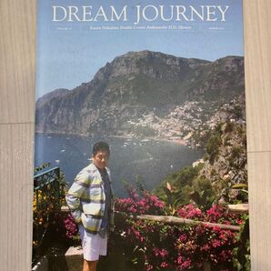 アムウェイ 中島薫 ドリームジャーニー 2013 DREAM JOURNEY