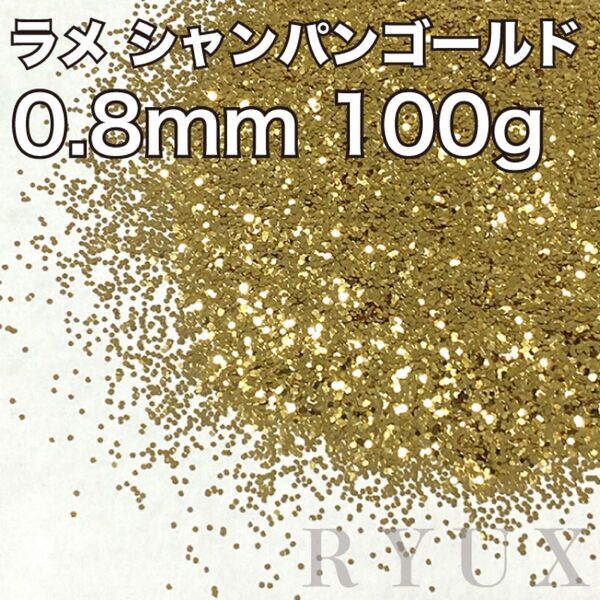 大容量!ラメ グリッター 単色シャンパンゴールド 0.8mm 100g 塗装 素材 フレーク