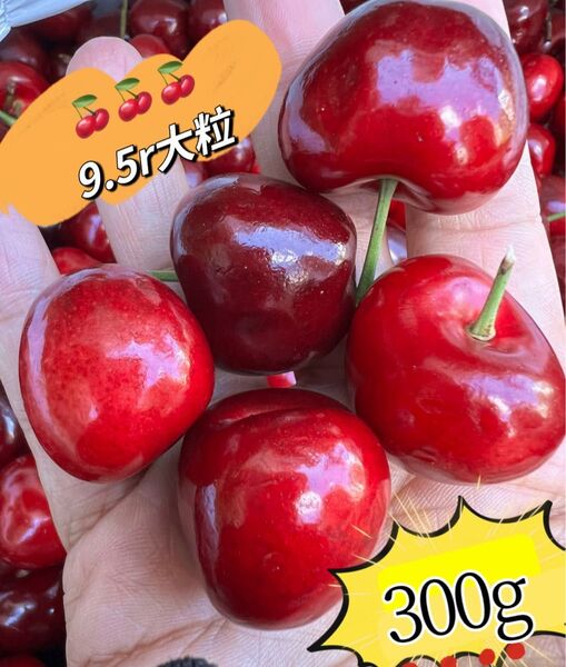 超大粒!9.5r アメリカンチェリー300g 母の日 父の日 中元 家庭用 数量限定 ポスト投函 さくらんぼ 車厘子 美國櫻桃