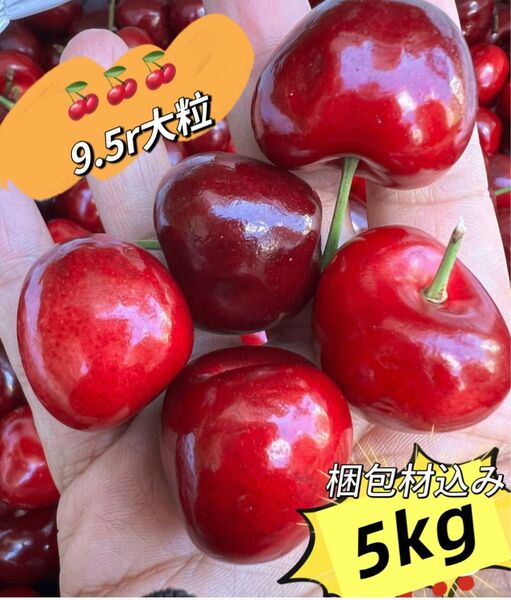 5kg!9.5row超大粒 常温便 大容量 アメリカンチェリー 母の日 父の日 家庭用 車厘子 美國櫻桃 さくらんぼ