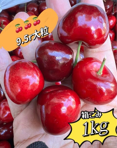 超大粒!9.5r アメリカンチェリー箱こみ1kg 大容量 父の日 中元 家庭用 数量限定 ポスト投函
