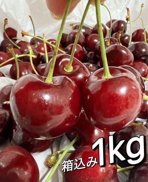 本日限定特売日 常温便 アメリカンチェリー箱込み1kg 父の日 中元 家庭用 ポスト投函 車厘子 美國櫻桃 さくらんぼ 国内検品