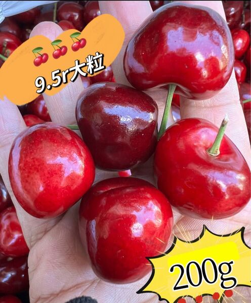 超大粒!9.5r アメリカンチェリー200g 母の日 父の日 中元 家庭用 数量限定 ポスト投函 さくらんぼ 車厘子 美國櫻桃