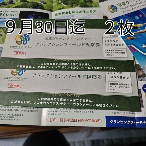 志摩グリーンアドベンチャーフィールドパス2枚 9月末日迄