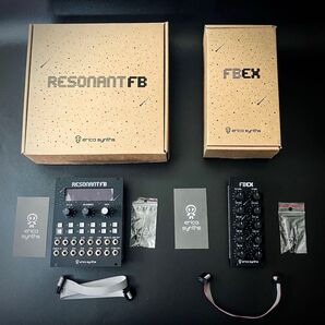 週末限定価格Graphic Resonant FB/Expanderモジュラーシンセユーロラック音源モジュール