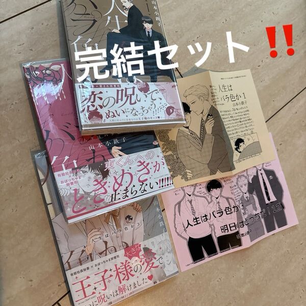 人生はバラ色か 1〜3 ペーパー2枚付き BL