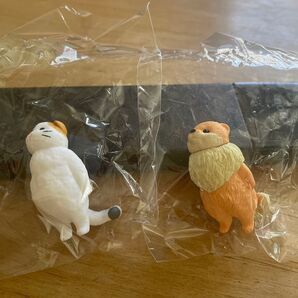 虚無。宙 三毛猫 ポメラニアン