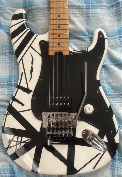EVH(イーブイエイチ) Striped Series White with Black Stripes
