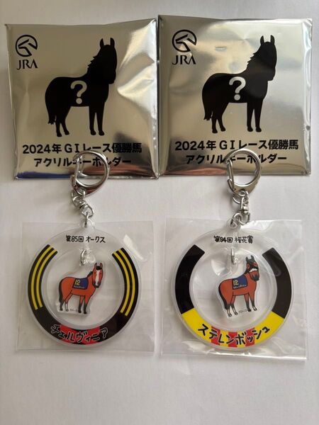 JRA ウェルカムチャンスE賞 キーホルダー ステレンボッシュ チェルヴィニア