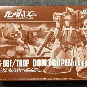HG ドム・トローペン(ユニコーンver.) 未組立