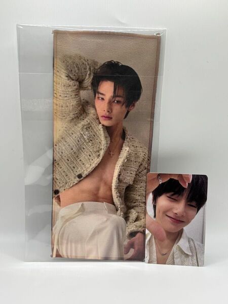 Stray kids アイエン ミニスローガン トレカ 両面 Set 値下げ