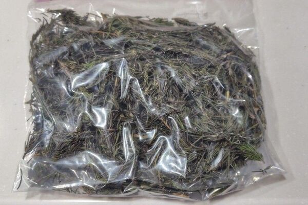 茎付き乾燥ローズマリー 85g 農薬肥料不使用で育てました