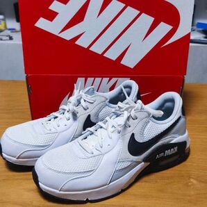 新品未使用 NIKE エア マックス エクシー FN7304-100