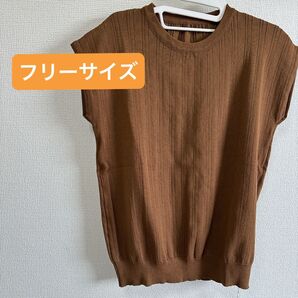 新品タグ付き! レディース ニット フレンチスリーブ カットソー トップス プルオーバー 半袖 F ブラウン
