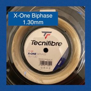 6 張分 X-ONE BIPHASE 1.3 エックスワン バイフェイズ ガット