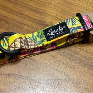 Leeds Dog Supply リーズドッグサプライ LUAU パイナップル