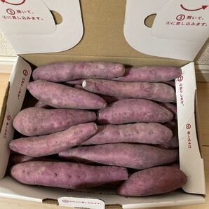 徳島県産なると金時