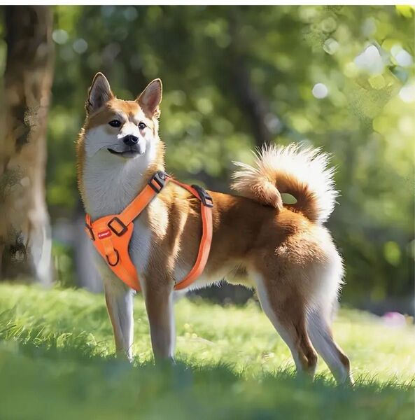 【未使用品】DUOMM ペット用ハーネス 犬ハーネス 調節可能 引っ張り防止 着心地良い 外出 トレーニング お散歩