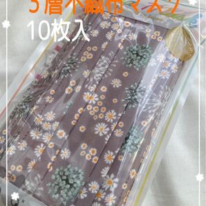 【新品】【10枚入】不織布マスク 3層構造 花柄 立体プリーツ かわいい マスク まとめ買い 贈り物 プレゼント 母の日 敬老の日