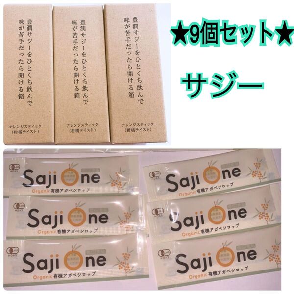 新品 豊潤サジー アレンジスティック(柑橘テイスト) サジーワン SajiOne
