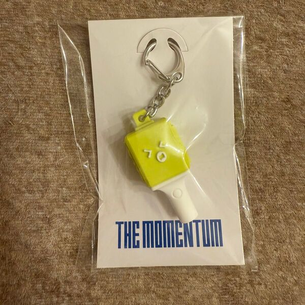 NCT 127 momentum FANLIGHT キーホルダー ヘチャン