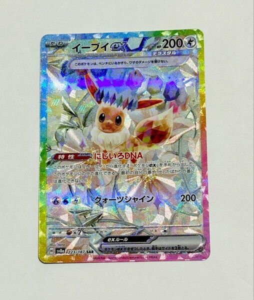 テラスタルフェス イーブイex SAR