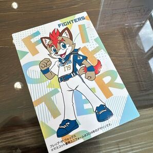 プロ野球チップス 2025 第1弾 フラップ・ザ・フォックス チェックリスト カード フォックス