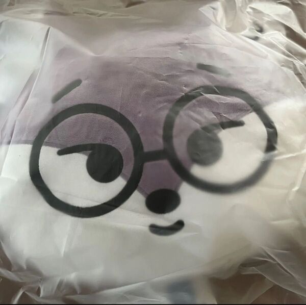 MINITEEN FACECUSHION FOXDUNGEE ウォヌ クッション