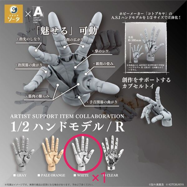 ARTIST SUPPORT ITEM COLLABORATION 1/2 ハンドモデル / R ホワイト単品