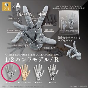 ARTIST SUPPORT ITEM COLLABORATION 1/2 ハンドモデル / R グレー単品