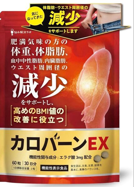 カロバーンEX 肥満 体脂肪 血中中性脂肪 内臓脂肪 リポ酸