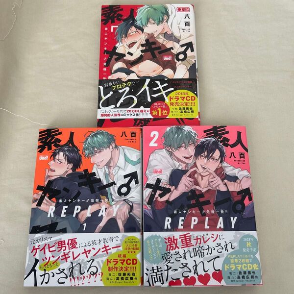 素人ヤンキー♂危機一髪!! replay 1-2 全巻