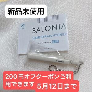 SALONIA サロニア ミニチュアチャーム