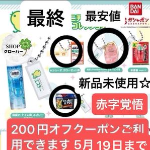 空気を変えようエステーミニチュアチャームコレクション最終