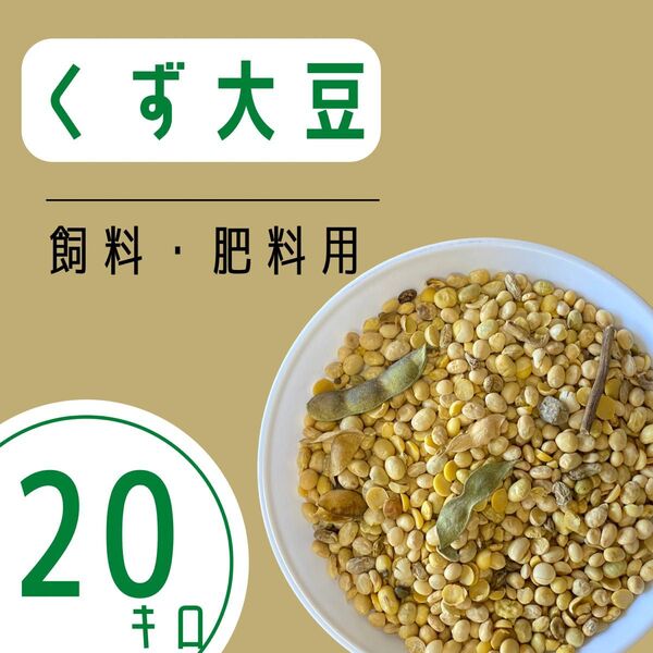 《訳あり》くず大豆20kg 令和6年産 肥料 鳥の餌 飼料 お得 安い おすすめ 選別 福岡県産 小動物 鶏