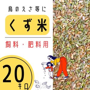 《リピーター様多数》くず米20kg 6年産 青米 小米 肥料 鳥の餌 飼料米 玄米 お得 安い おすすめ 選別 福岡県産 小動物