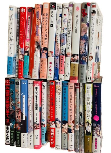 BLコミック 29冊